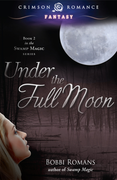 Cover image for book Under the Full Moon