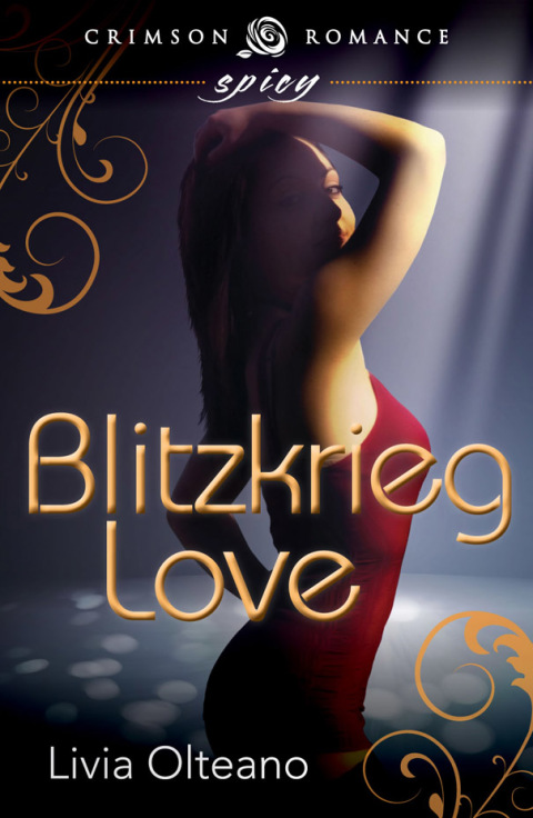 Cover image for book Blitzkrieg Love