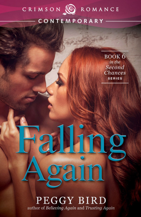 Cover image for book Falling Again