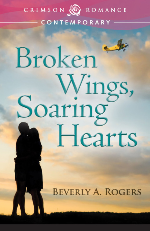 Cover image for book Broken Wings, Soaring Hearts
