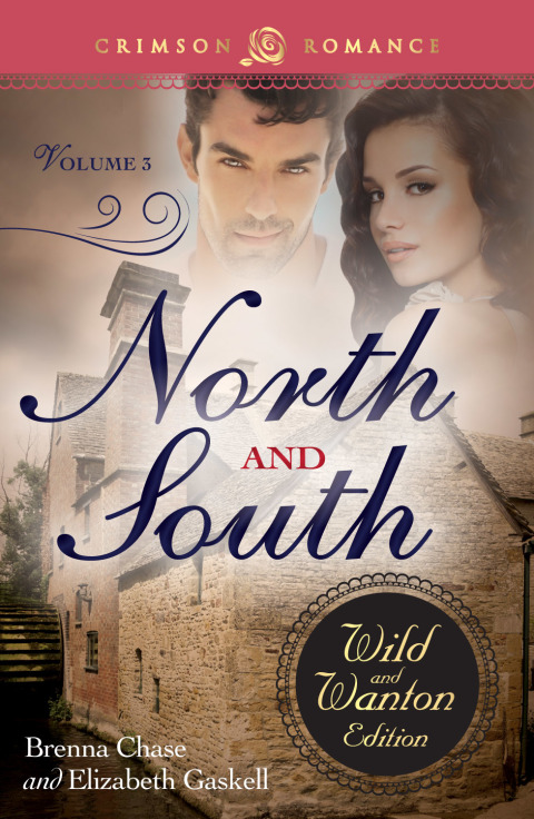 Cover image for book North And South: The Wild And Wanton Edition Volume 3