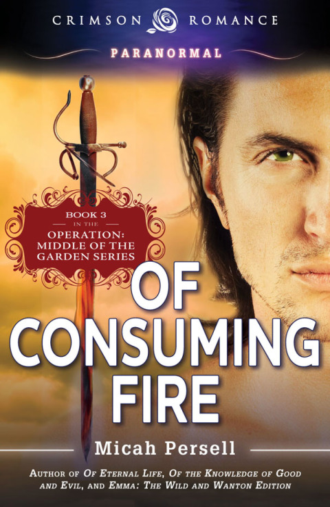 Cover image for book Of Consuming Fire