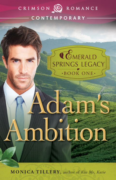 Cover image for book Adam's Ambition