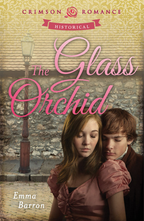 Cover image for book The Glass Orchid