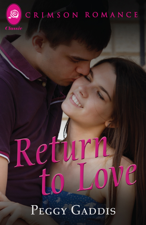 Cover image for book Return to Love