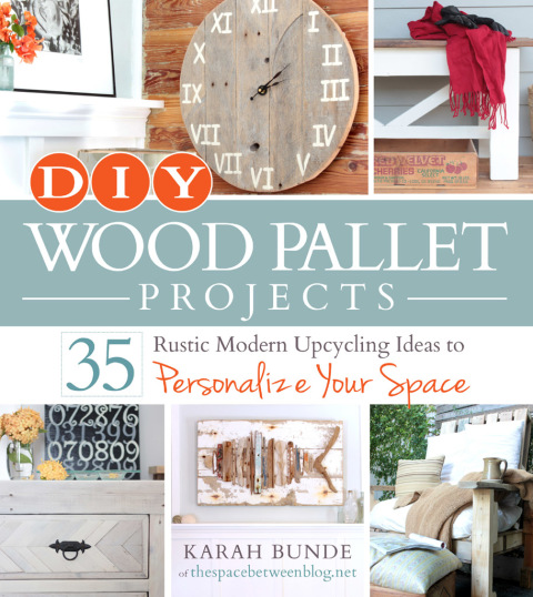 Cover image for book DIY Wood Pallet Projects