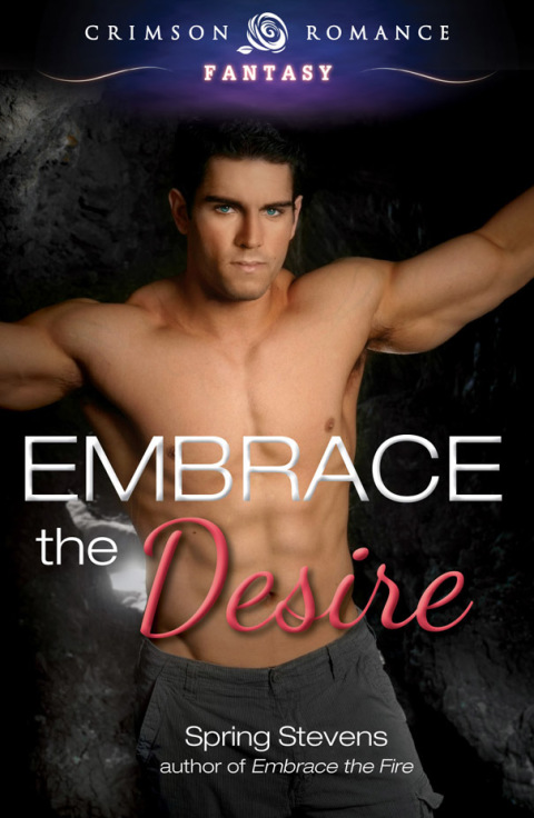 Cover image for book Embrace the Desire