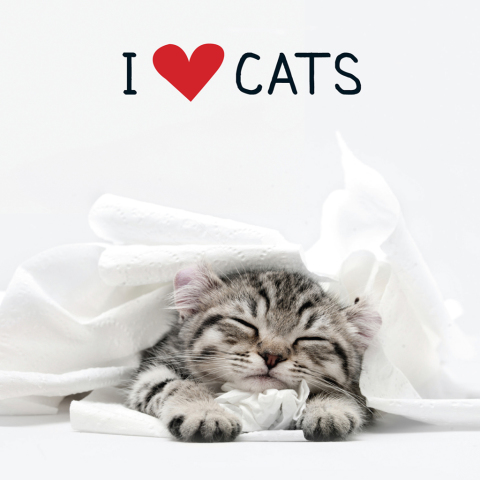 Cover image for book I Love Cats