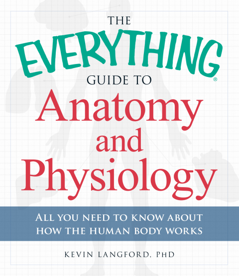 Cover image for book The Everything Guide to Anatomy and Physiology