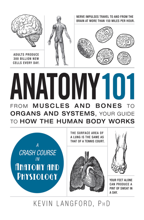 Cover image for book Anatomy 101