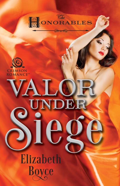 Cover image for book Valor Under Siege