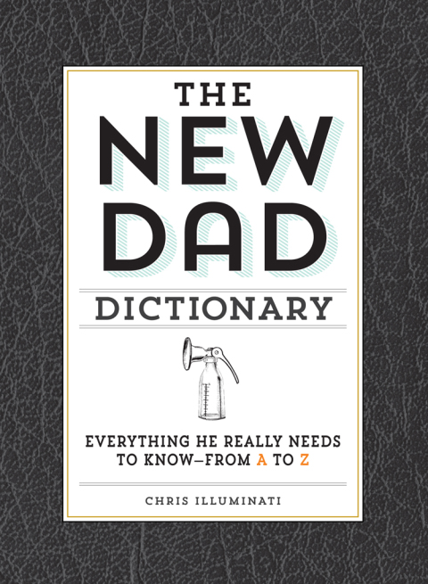 Cover image for book The New Dad Dictionary