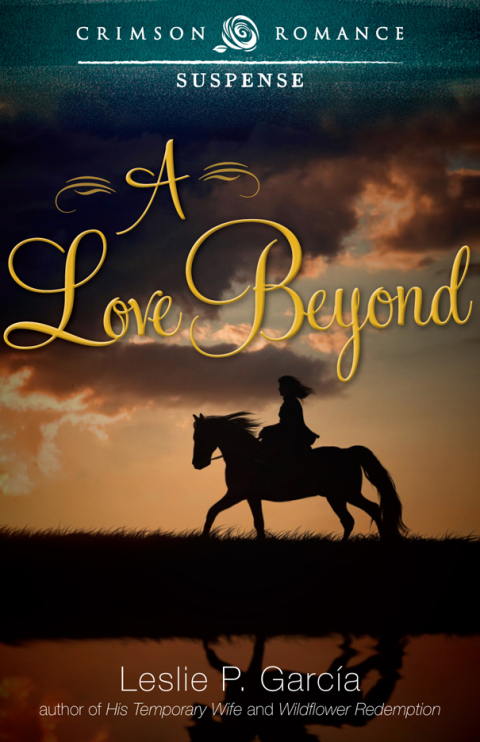Cover image for book A Love Beyond