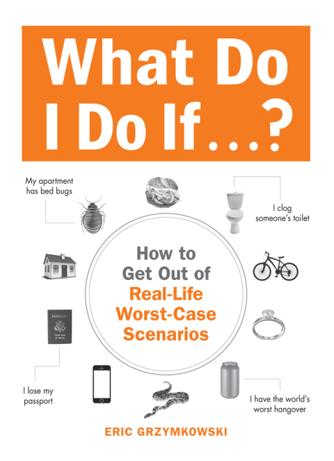 Cover image for book What Do I Do If...?
