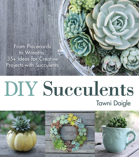 Cover image for book DIY Succulents