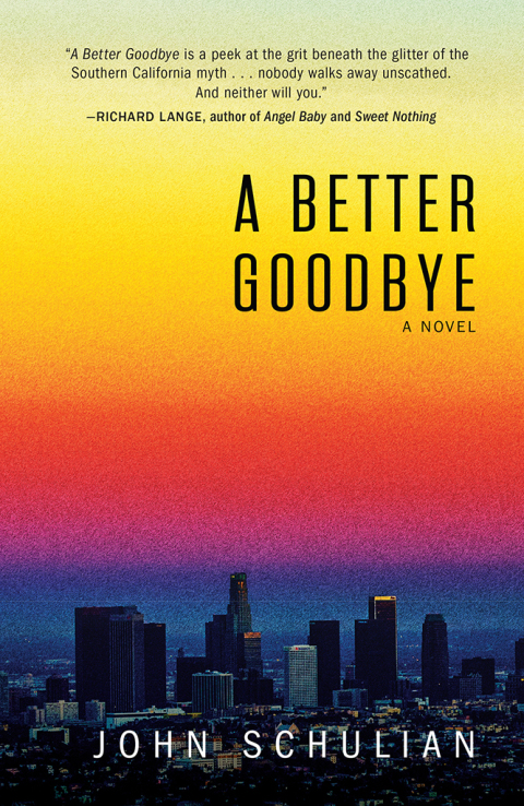 Cover image for book A Better Goodbye