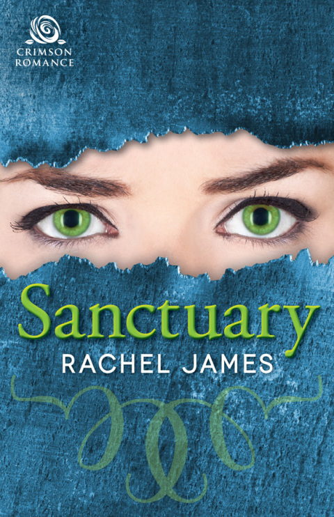 Cover image for book The Sanctuary