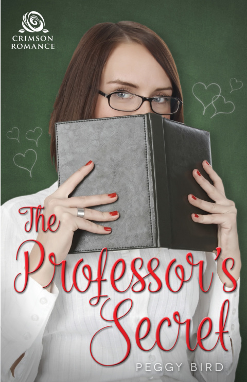 Cover image for book The Professor's Secret