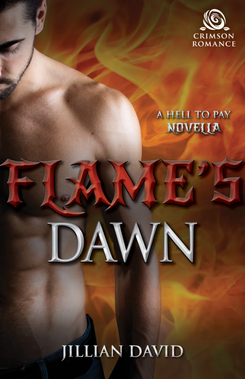 Cover image for book Flame's Dawn
