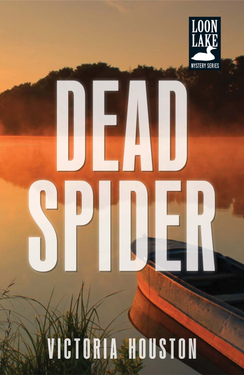 Cover image for book Dead Spider