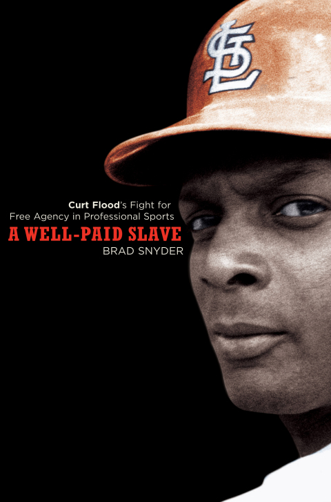 Cover image for book A Well-Paid Slave