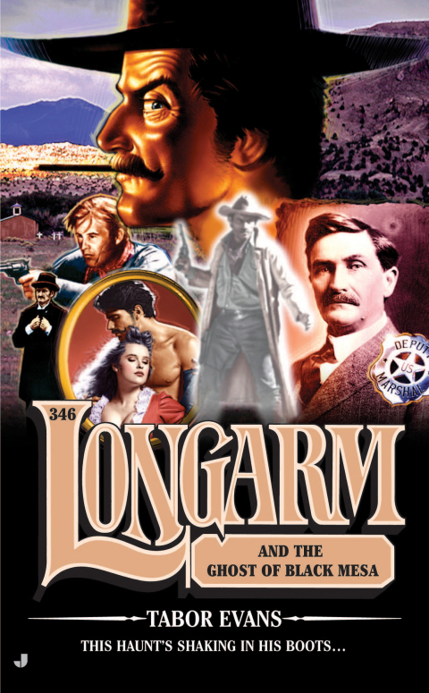 Cover image for book Longarm 346