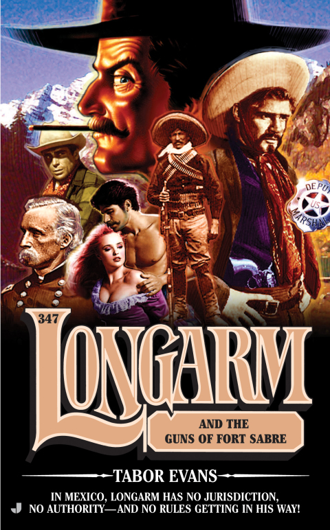 Cover image for book Longarm 347