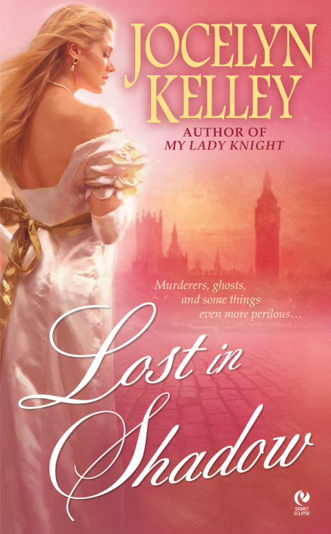 Cover image for book Lost in Shadow