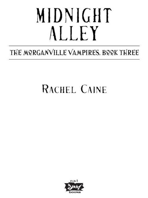 Cover image for book Midnight Alley