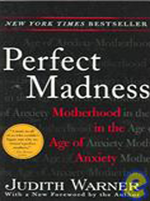 Cover image for book Perfect Madness