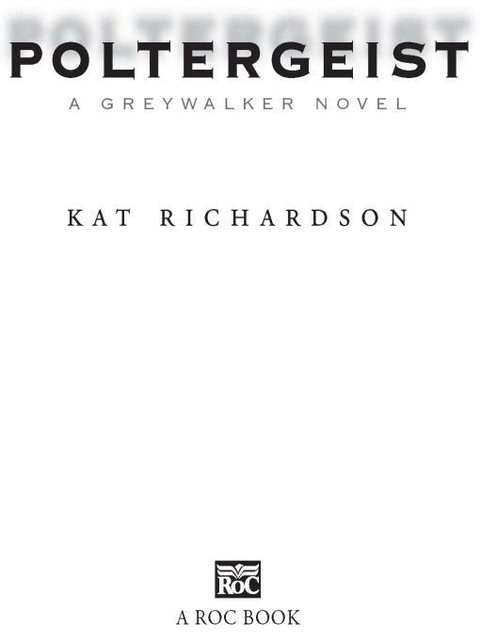 Cover image for book Poltergeist