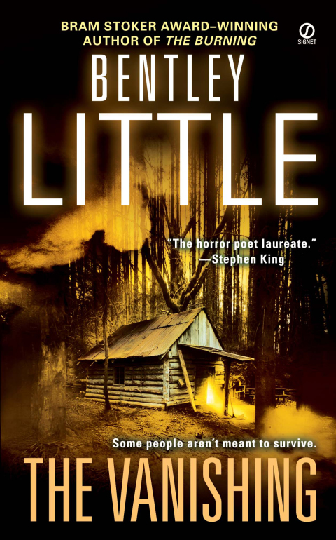 Cover image for book The Vanishing