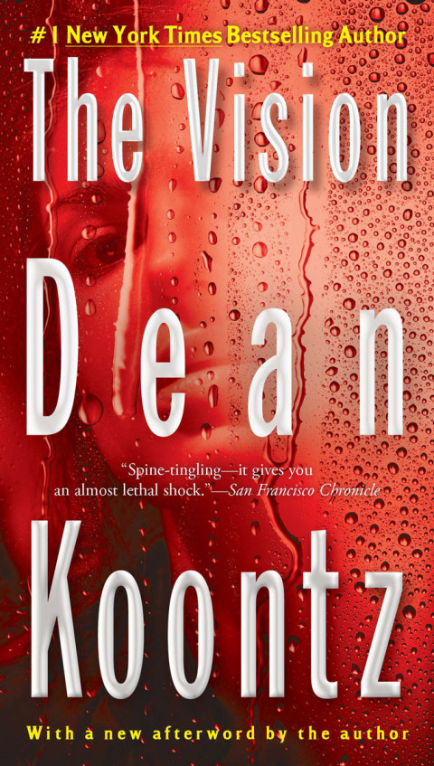 Cover image for book The Vision
