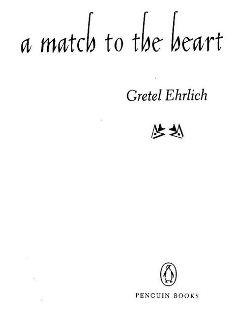 Cover image for book A Match to the Heart