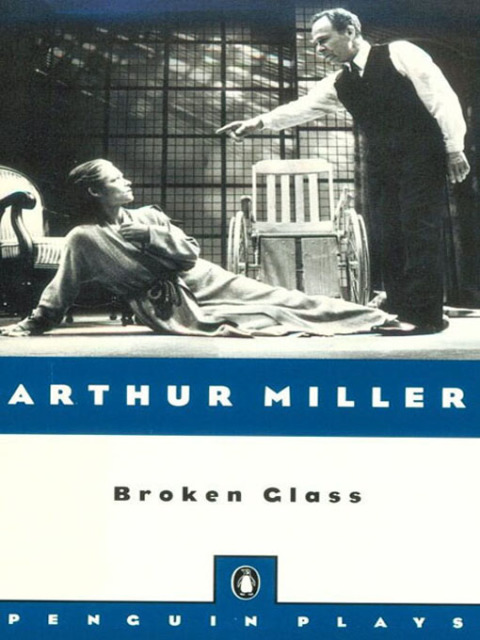 Cover image for book Broken Glass