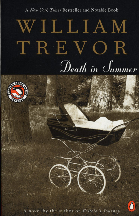 Cover image for book Death in Summer