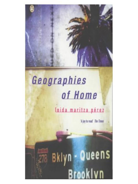 Cover image for book Geographies of Home