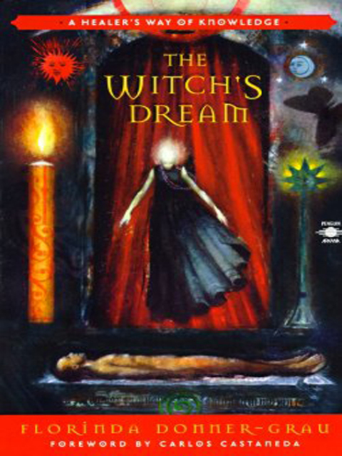 Cover image for book The Witch's Dream