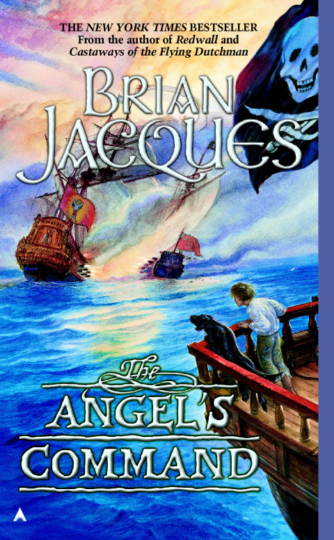 Cover image for book Angel's Command