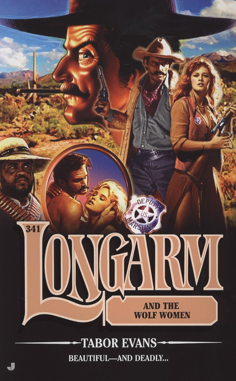Cover image for book Longarm 341