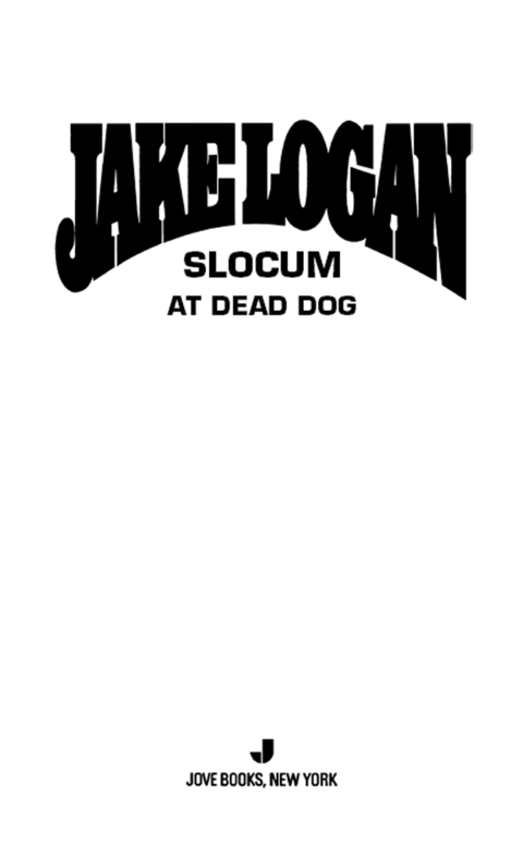 Cover image for book Slocum 338