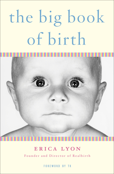 Cover image for book The Big Book of Birth