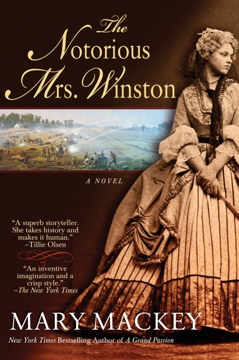 Cover image for book The Notorious Mrs. Winston