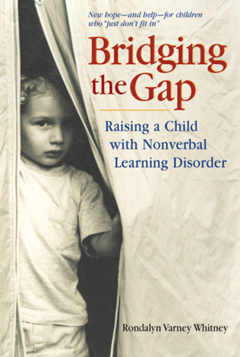 Cover image for book Bridging the Gap