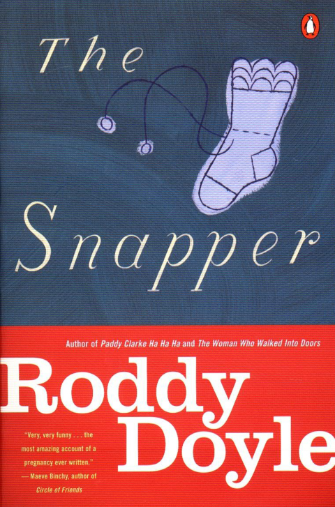 Cover image for book The Snapper