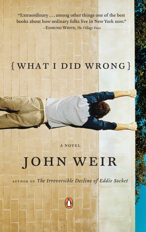 Cover image for book What I Did Wrong