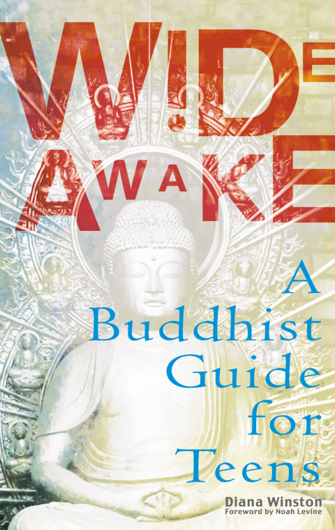 Cover image for book Wide Awake