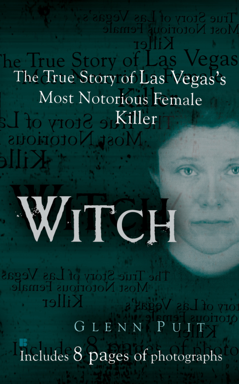 Cover image for book Witch