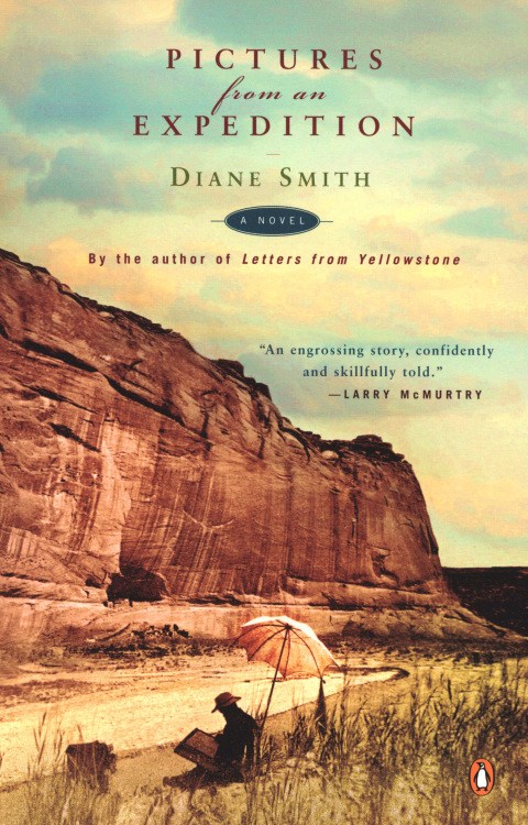 Cover image for book Pictures from an Expedition