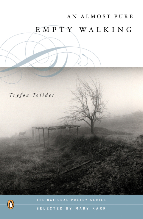 Cover image for book An Almost Pure Empty Walking